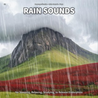 #1 Rain Sounds for Sleeping, Relaxing, Studying, to Release Endorphins
