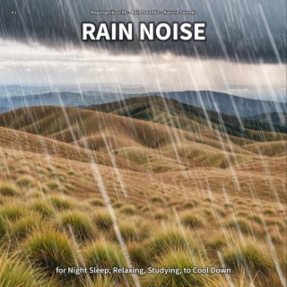 #1 Rain Noise for Night Sleep, Relaxing, Studying, to Cool Down