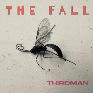 The Fall