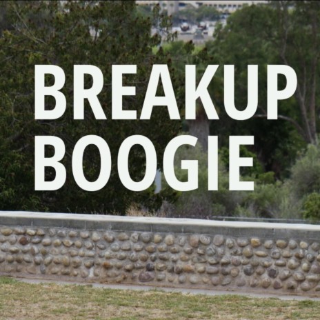 BREAKUP BOOGIE | Boomplay Music