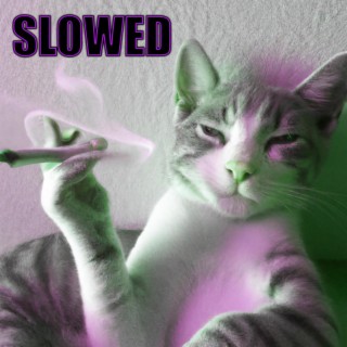 Frosty Catnip ((Slowed))