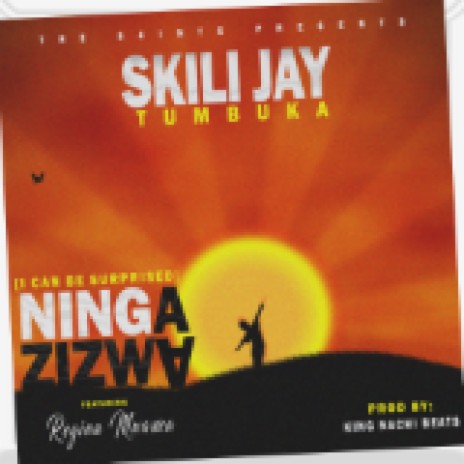 Ninga Zizwa | Boomplay Music