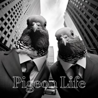 Pigeon Life