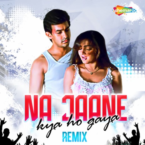 Na Jaane Kya Ho Gaya Remix ft. Sadhana Sargam | Boomplay Music