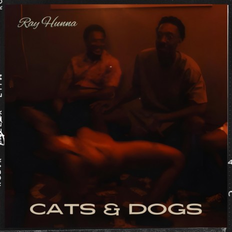 Cats & Dogs | Boomplay Music