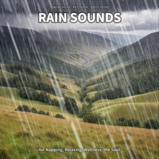 #1 Rain Sounds for Napping, Relaxing, Wellness, the Soul
