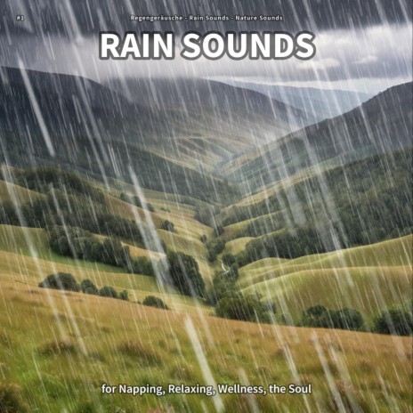 Peaceful Sounds for Relaxation ft. Rain Sounds & Nature Sounds