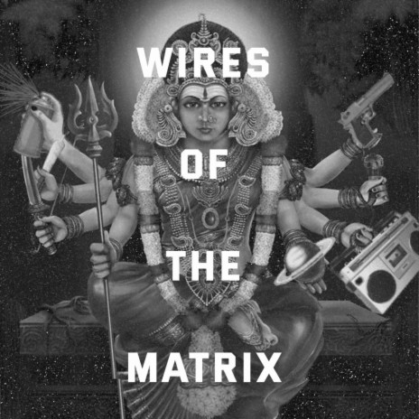 Wires of the Matrix / Brothel Vomits Warlords | Boomplay Music
