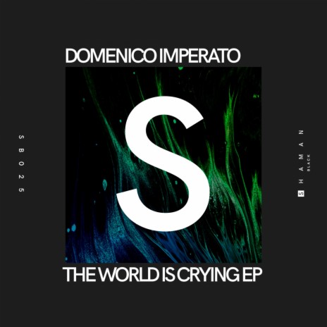 The World Is Crying (Original Mix) | Boomplay Music