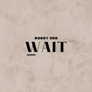 Wait (Duro) lyrics | Boomplay Music