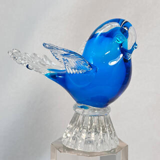 Glass Bluebird