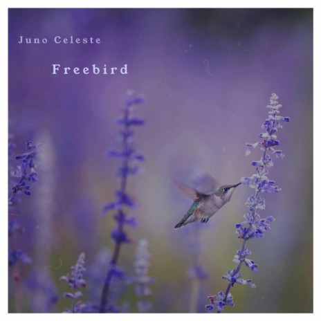 Freebird | Boomplay Music