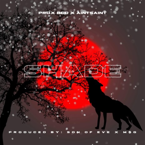 Shade ft. AINTSAINT | Boomplay Music