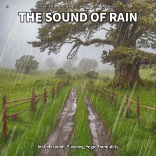 #1 The Sound of Rain for Relaxation, Sleeping, Yoga, Tranquility