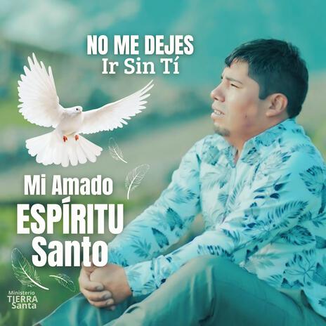 No Me Dejes Ir Sin Tí | Boomplay Music