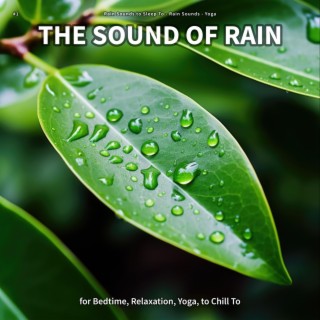 #1 The Sound of Rain for Bedtime, Relaxation, Yoga, to Chill To