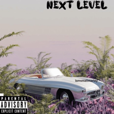 Next-Level | Boomplay Music