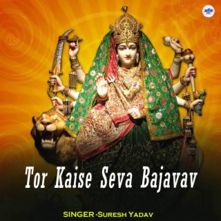 Tor Kaise Seva Bajavav