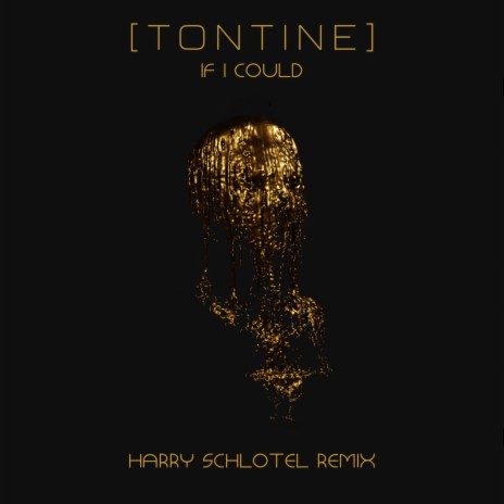 If I Could (Harry Schlotel Remix) ft. Harry Schlotel | Boomplay Music