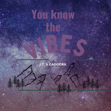 You Know The Vibes ft. Gadoora | Boomplay Music