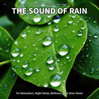 #1 The Sound of Rain for Relaxation, Night Sleep, Wellness, Next-Door Noise