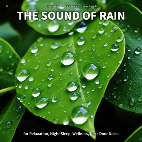 Incomparable Rest ft. Rain Sounds & Nature Sounds