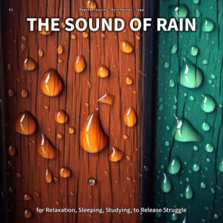 #1 The Sound of Rain for Relaxation, Sleeping, Studying, to Release Struggle