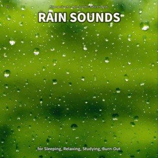 #1 Rain Sounds for Sleeping, Relaxing, Studying, Burn-Out