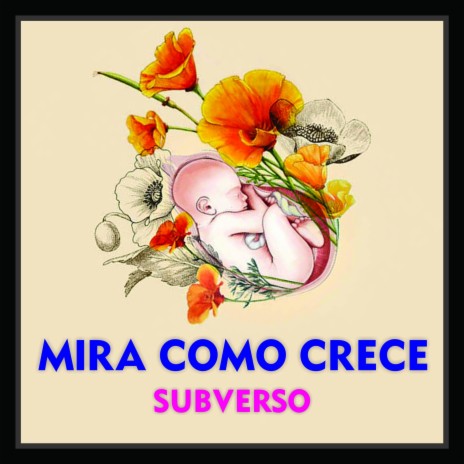 Mira Como Crece | Boomplay Music