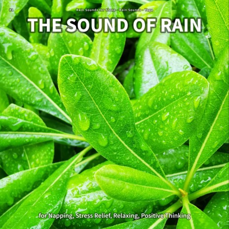 Rain Sounds to Fall Asleep To ft. Rain Sounds & Yoga