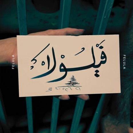 Bradik (براضيك) | Boomplay Music