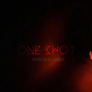 One Shot 5