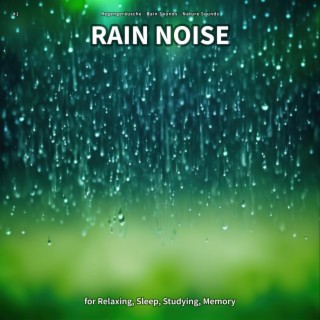 #1 Rain Noise for Relaxing, Sleep, Studying, Memory