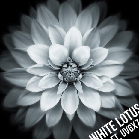 White Lotus ft. UV6X7 | Boomplay Music