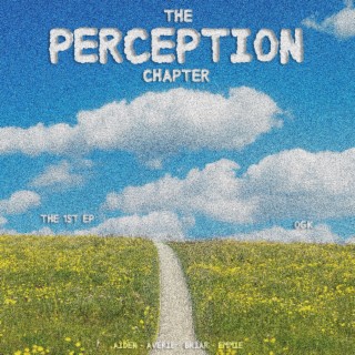 the Perception Chapter