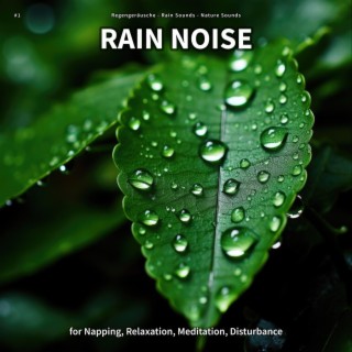 #1 Rain Noise for Napping, Relaxation, Meditation, Disturbance