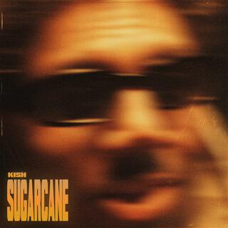 Sugarcane lyrics | Boomplay Music