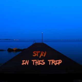 Stay in this trip