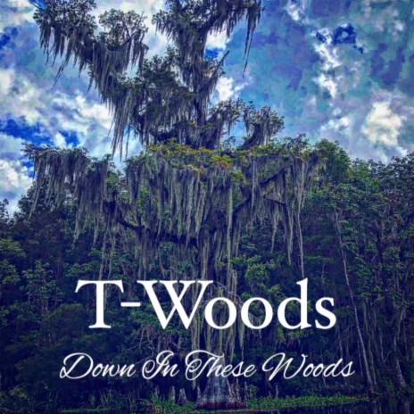 Down In These Woods | Boomplay Music