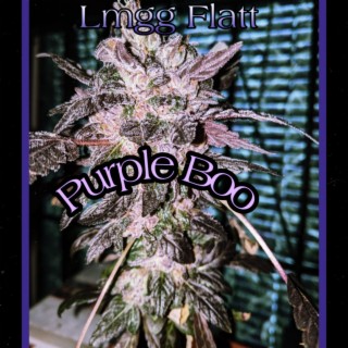 Purple Boo