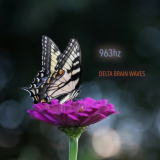Delta Brainwave Binaural Beats 963 Hz