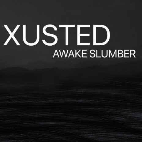 Awake Slumber | Boomplay Music