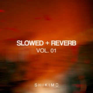 Slowed + Reverb, Vol. 01 (Slowed + Reverb)