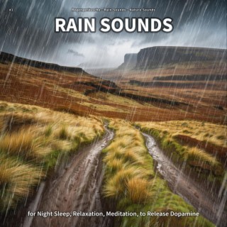 #1 Rain Sounds for Night Sleep, Relaxation, Meditation, to Release Dopamine