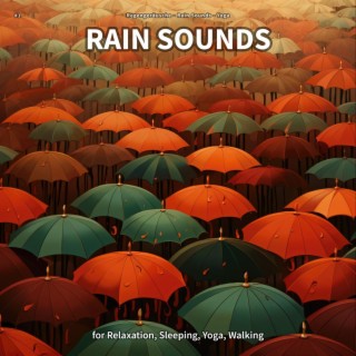 #1 Rain Sounds for Relaxation, Sleeping, Yoga, Walking