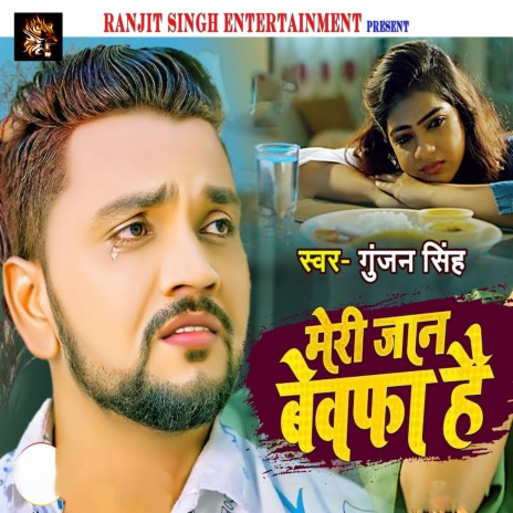 Meri Jaan Bewafa Hai | Boomplay Music