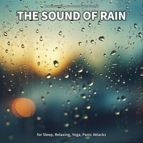 Rain to Fall Asleep ft. Rain Sounds & Nature Sounds