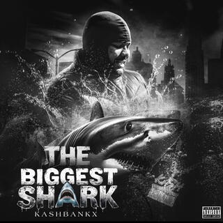 The Biggest Shark