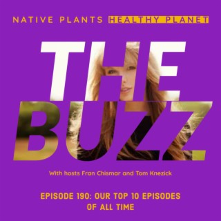 The Buzz - Our Top 10 Episodes of All-Time
