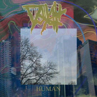 Human